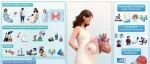 The Innovation Medicine | 心血管风险，或始于子宫内：孕期不良暴露留下的“胎儿期烙印”