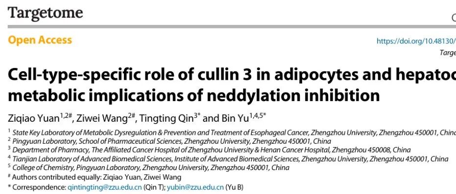 Targetome 评述 | 郑州大学余斌教授/原梓乔副教授团队——靶向抑制拟素化修饰底物Cullin 3为代谢性疾病治疗提供新思路