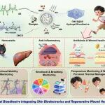 陕科大王学川/党旭岗、温州医科大郑漫辉 AFM：可注射自修复生物质基水凝胶生物粘合剂用于伤口愈合和可穿戴生物电子一体化
