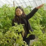 博士毕业于西北农林科技大学，西北农林教授以通讯作者身份在一区Top期刊上发表研究论文