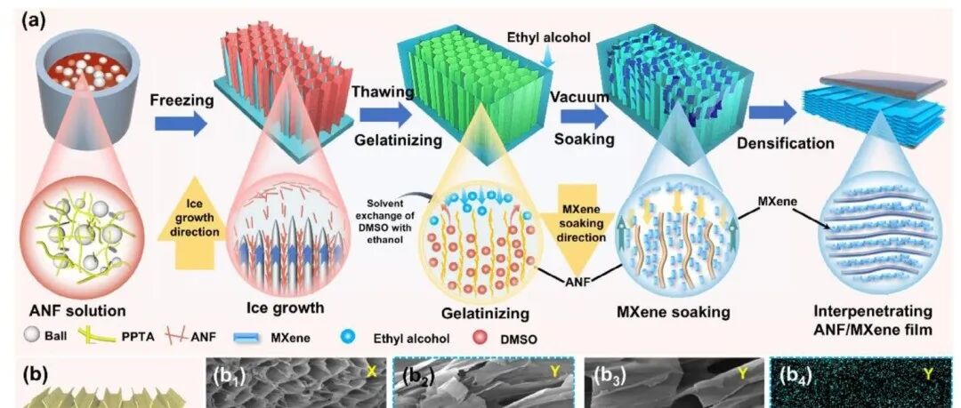 郑大冯跃战/刘春太/申长雨、北化张好斌 Adv. Sci.：互穿MXene/芳纶纳米纤维膜 实现抗氧化和宽频电磁干扰屏蔽功能