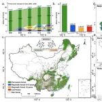 Remote Sensing of Environment｜我刊编委唐志尧团队发现2000–2020年中国森林边缘暴露下降