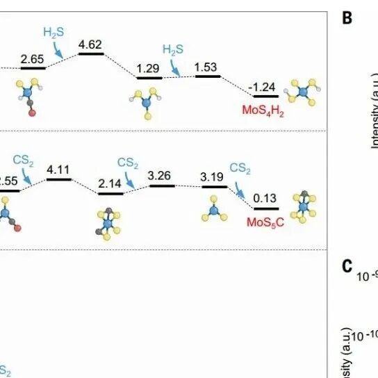 南京大学最新Science