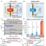 甬江实验室2026年首篇Science