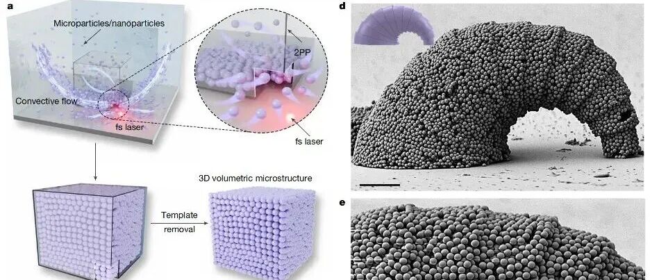半个月连发2篇 Nature - Metin Sitti教授与合作者在3D打印最新研究进展