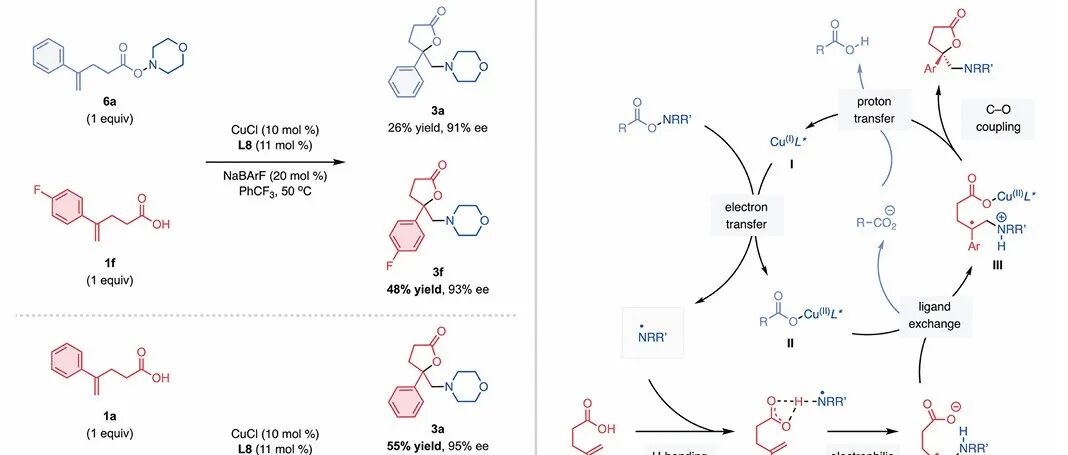 美国杜克大学王秋铜催化烯烃不对称氨基内酯化反应