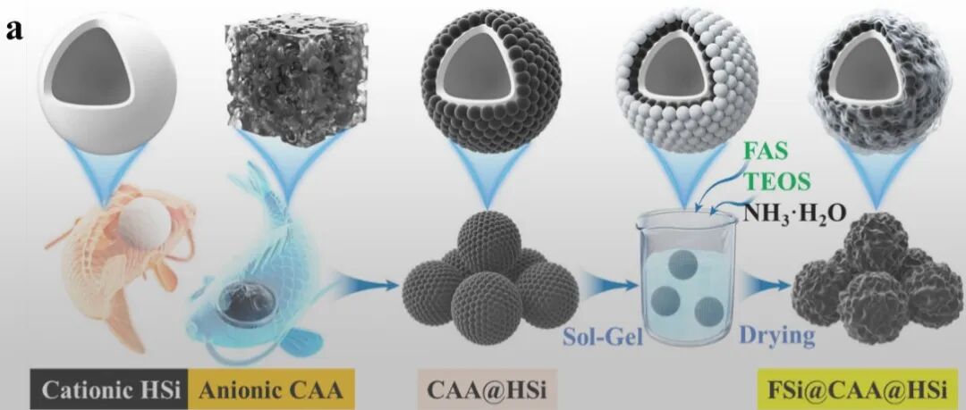 仿生“阴阳耦合”+ 多尺度纳米限域效应！上海交大黄小彬团队 AFM：研发高性能光热滑爽聚脲防除冰涂层-为户外设备抗冰提供新思路