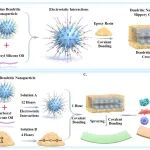 南方医科大学杨成端、邹积华、黄国志教授团队 Adv. Sci.：巧用“树枝状纳米”结构构建润滑表面新策略 - 实现长效抗血栓防感染