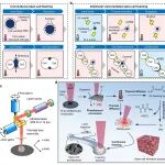 华南理工大学雷劲骋团队 CEJ：飞秒激光“点石成孔” - 实现聚合物开孔泡沫的精准制造