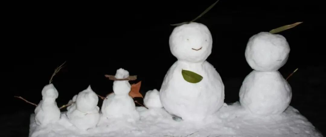 没有作业的寒假很曼妙！