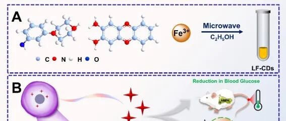 Anal.\u00A0Chem.\u00A0| 基于ROS可控生成与治疗监测的双功能纳米平台