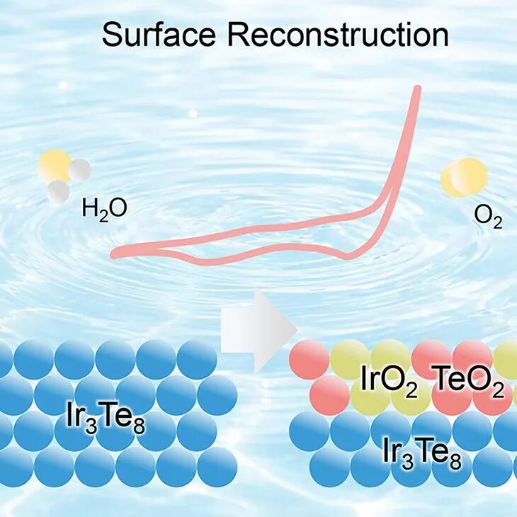 【Chem Catal.】哈工大宋波课题组：黄铁矿型碲化铱表面重构促进酸性OER