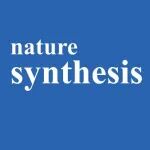 兰州大学，Nature Synthesis！