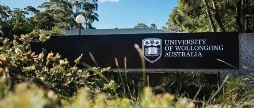 澳大利亚沃隆港大学UOW：近零材料ENZ-雷达吸波 | Advanced Materials