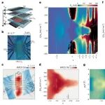 研究进展：许晓栋，二碲化钼MoTe\u2082-无耗散分数陈绝缘体 | Nature Physics
