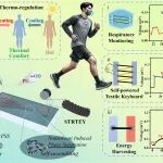 北航潘曹峰教授/河南大学曹瑞瑞副教授团队 AFM：同轴电纺-湿纺热电纱线实现相变-热电协同 - 助推穿戴供能与传感集成新突破