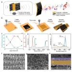 中山大学周建华教授/乔彦聪副教授团队 ACS AMI：构建准绝热热致声源实现发声效率提升