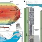 南京地质古生物研究所最新Nature