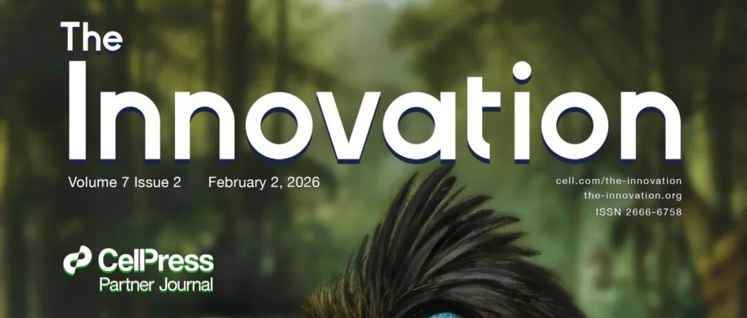 The Innovation | Volume 7 Issue 2 Live Now