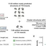 Cell Res | 浙江大学沈星星等团队合作绘制昆虫蛋白质“三维宇宙”地图：AI预测1329万结构，揭示古老cGLRs家族全谱系保守并具抗病毒功能