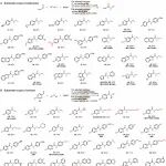 雷晓光团队取得重大科学突破，实现了酰胺键的变革性生物合成