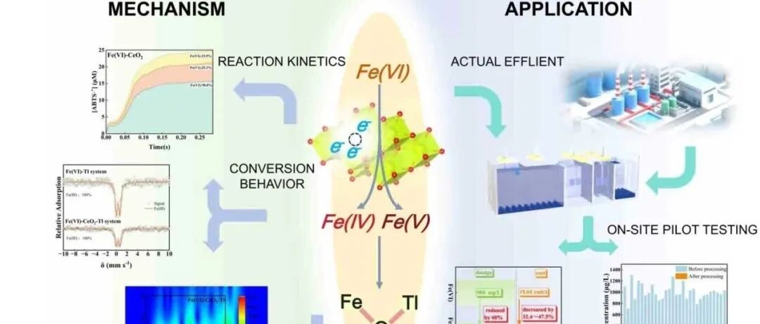 连接分子机制与工程实践：CeO2 介导 Fe（VI）活化，用于复杂工业废水中深层铊的去除