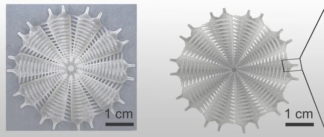 中科大/理化所董智超、中科大李储鑫 Adv. Mater.：3D打印旋转扇叶 - 低能耗吸雾除湿，并实现油雾稳定捕集