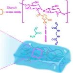 武汉大学刘兴海教授团队《Small》：仿生超韧快速响应水凝胶