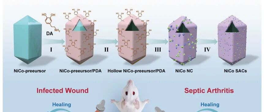 Adv. Funct. Mater.｜NiCo双原子纳米酶实现耐药菌感染高效清除与组织修复