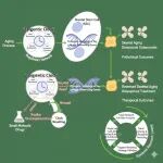【国自然青年A类项目修改实操】骨骼干细胞“表观遗传时钟”的调控网络及其在衰老性骨质疏松中的靶向“重置”机制研究