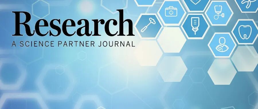 Research|高精度 + 轻量化双突破！E型结构打破医学图像分割临床部署困境