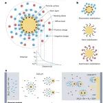 南科大孙小卫团队发表综述全面解析电泳沉积技术前沿进展