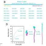 厦门大学乐世敏/于淼/陈虎合作最新PNAS