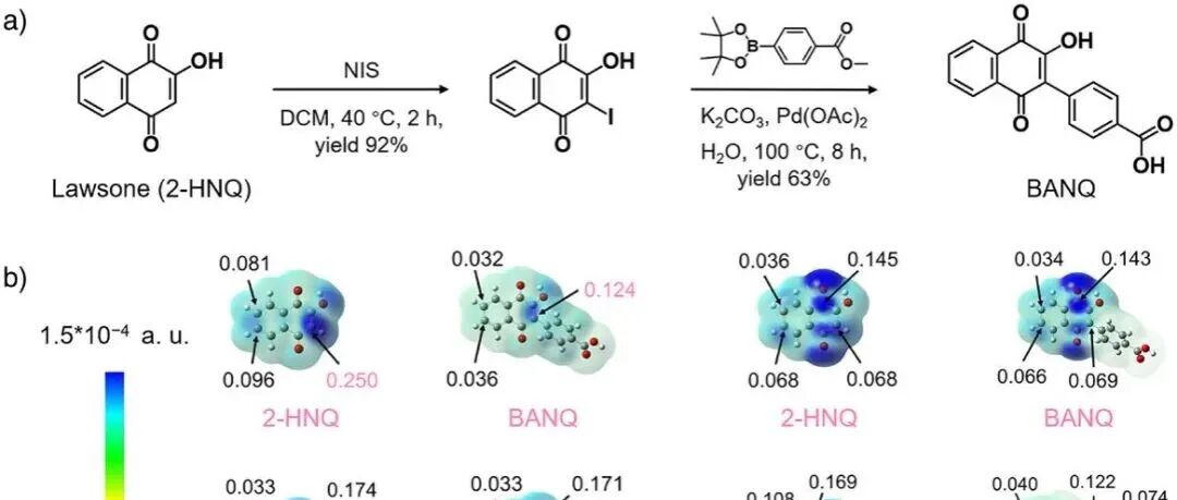 南京大学化学学院金钟团队：不对称非平面π共轭修饰天然指甲花醌助力高稳定水系有机液流电池