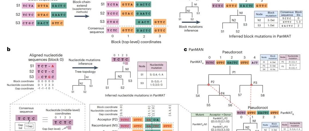 Nature Genetics | 基于突变注释网络的泛基因组压缩