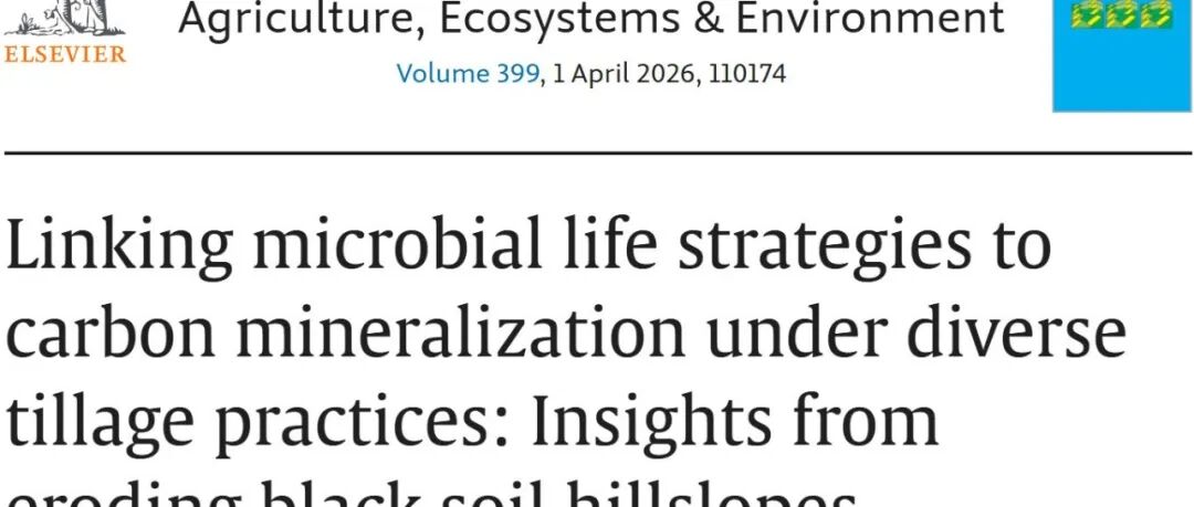 AGEE | 不同耕作措施下微生物生存策略与碳矿化的关联：黑土侵蚀坡地的研究启示