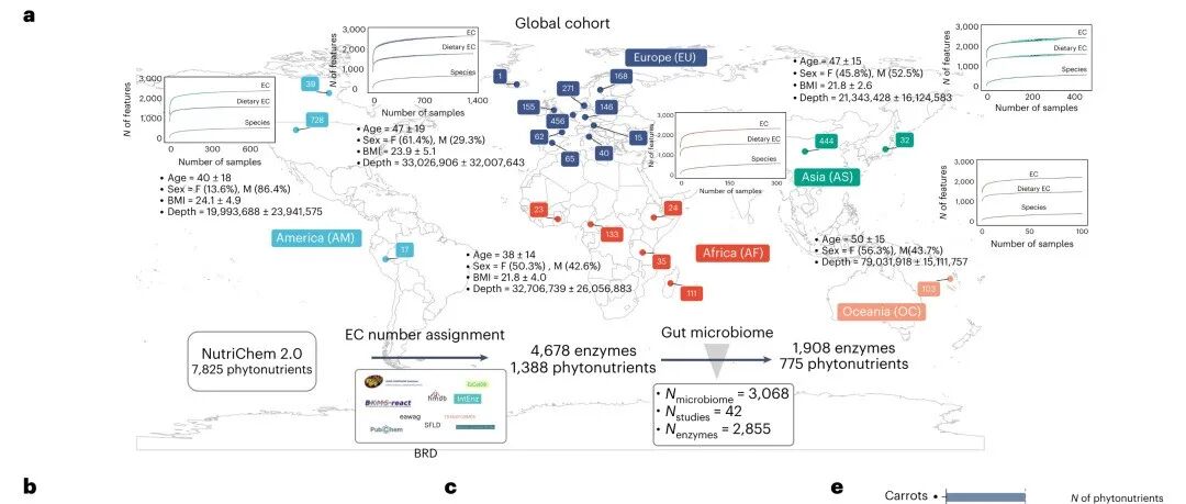 Nature Microbiology | 肠道微生物组介导的膳食植物营养素转化与健康结局相关