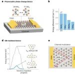 研究进展：低维半导体-范德华材料 | Nature Reviews Materials