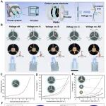 西工大李鹏、王腾蛟团队 CEJ：有机硅介电弹性体驱动器用于柔性推力矢量控制装置