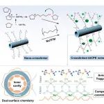 江南大学刘天西/陈苏莉 AEM: 阴离子锚定型交联聚醚电解质助力高性能固态钠金属电池