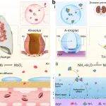 广西大学聂双喜教授 Nat. Commun.：仿生氨气传感器