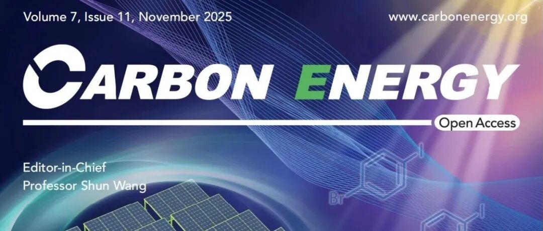 荷兰格罗宁根大学Giuseppe Portale：基于自适应聚醚-硫脲保护层的锂沉积界面调控研究