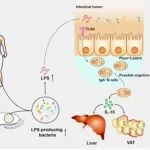 中国农业大学战吉成等合作最新Cell子刊