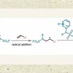 【Chem. Sci.】郑州大学孙凯/陈晓岚/於兵课题组：非均相光催化吡啶C4远端氟磺胺化