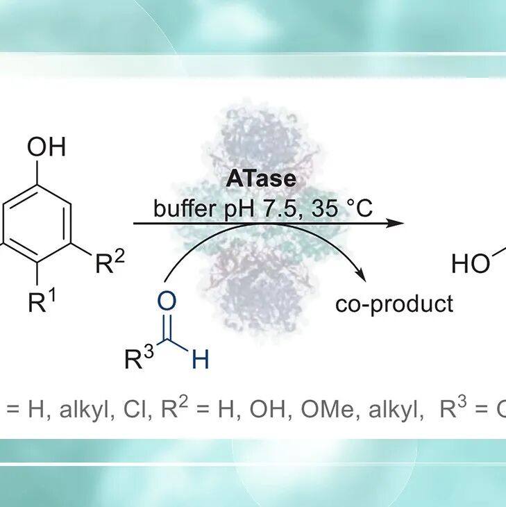 【Angew. Chem.】生物催化实现间苯二酚衍生物的区域选择性C-甲酰化