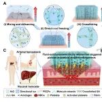 东华大学俞昊团队 AFM：定向梯状超气凝胶止血材料 - 限域流体-固体-压电相互作用触发血栓形成，实现快速止血