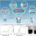 惠州学院张雪峰/哈工大樊志敏 Adv. Sci.：离子限域辅助擦除纯化策略实现氧化MXene的再生利用