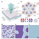研究前沿：超莫尔自旋结构-二维反铁磁体CrI\u2083 | Nature Nanotechnology