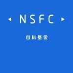 2026年度国家自然科学基金项目形式审查自查表（下载）