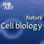 Nat Cell Biol\u00A0|\u00A0生命起点的质检员：卵母细胞线粒体自噬如何守护代际健康
